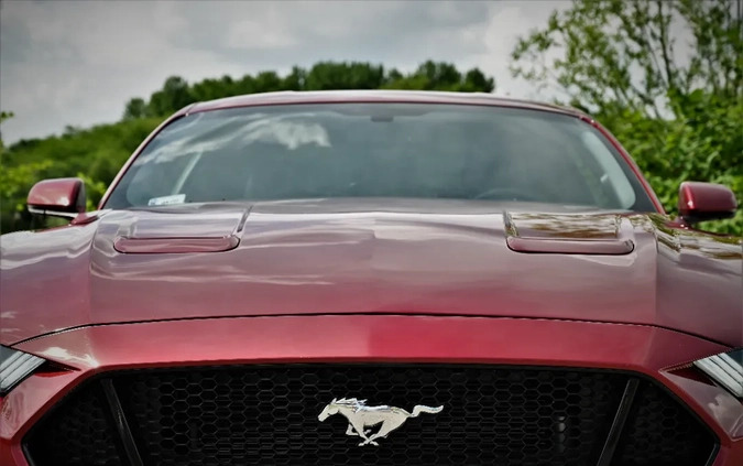 Ford Mustang cena 163221 przebieg: 11000, rok produkcji 2019 z Podkowa Leśna małe 497